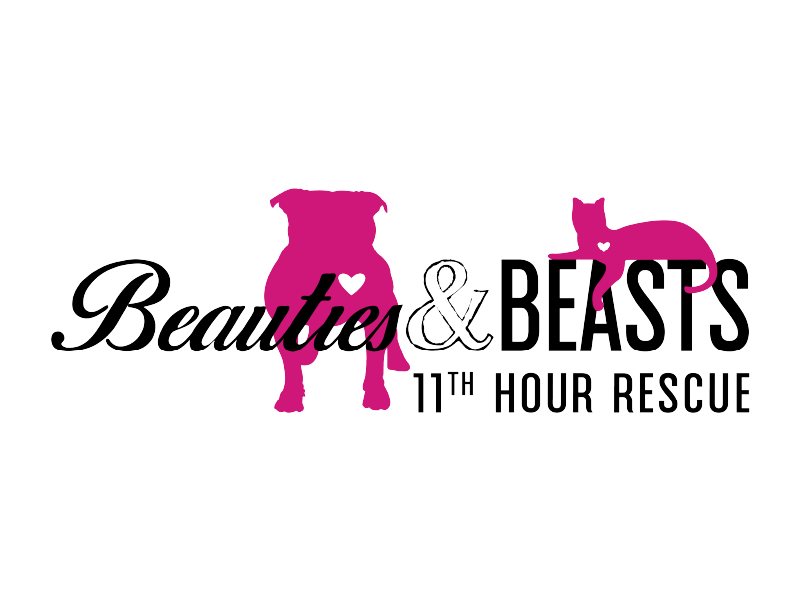 IFMA Wichita CARES -Beauty & Beasts
